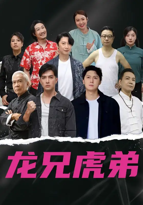 热播短剧《龙兄虎弟》高清全集免费在线观看